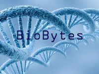 biobytes2.jpg
