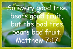 good-fruit.png