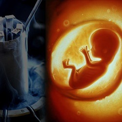 ivf-embryo.jpg